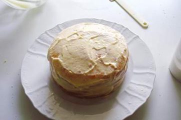 Torta mimosa 18