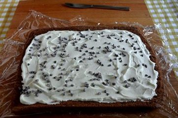 Rotolo al cacao con panna 9